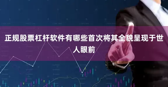正规股票杠杆软件有哪些首次将其全貌呈现于世人眼前