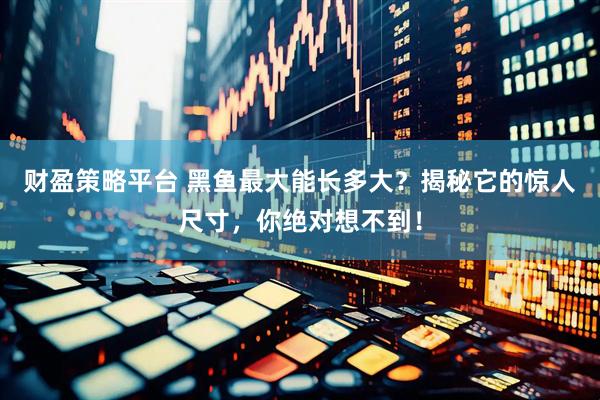 财盈策略平台 黑鱼最大能长多大？揭秘它的惊人尺寸，你绝对想不到！