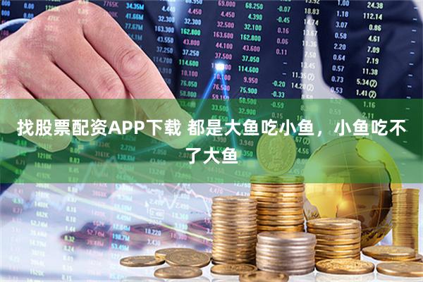 找股票配资APP下载 都是大鱼吃小鱼，小鱼吃不了大鱼