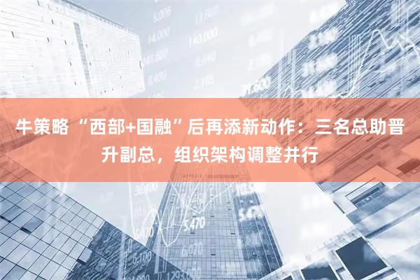 牛策略 “西部+国融”后再添新动作：三名总助晋升副总，组织架构调整并行