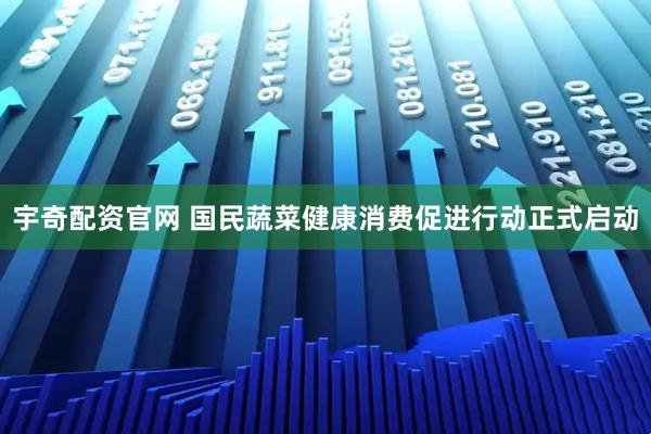 宇奇配资官网 国民蔬菜健康消费促进行动正式启动
